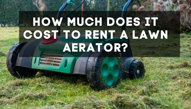 How Much Does It Cost to Rent a Lawn Aerator?